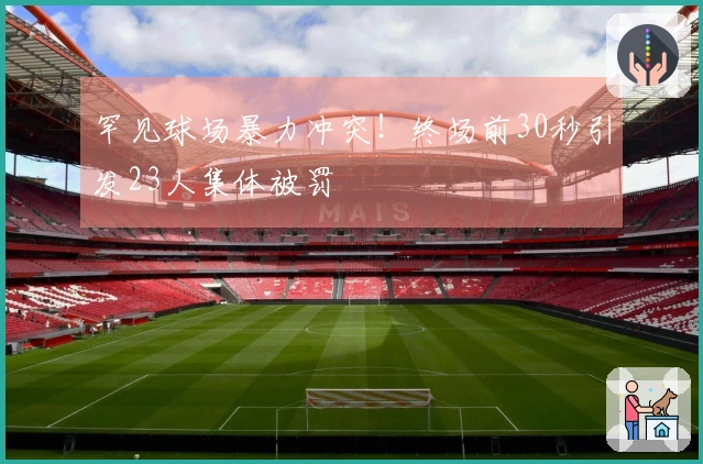 罕见球场暴力冲突！终场前30秒引发23人集体被罚